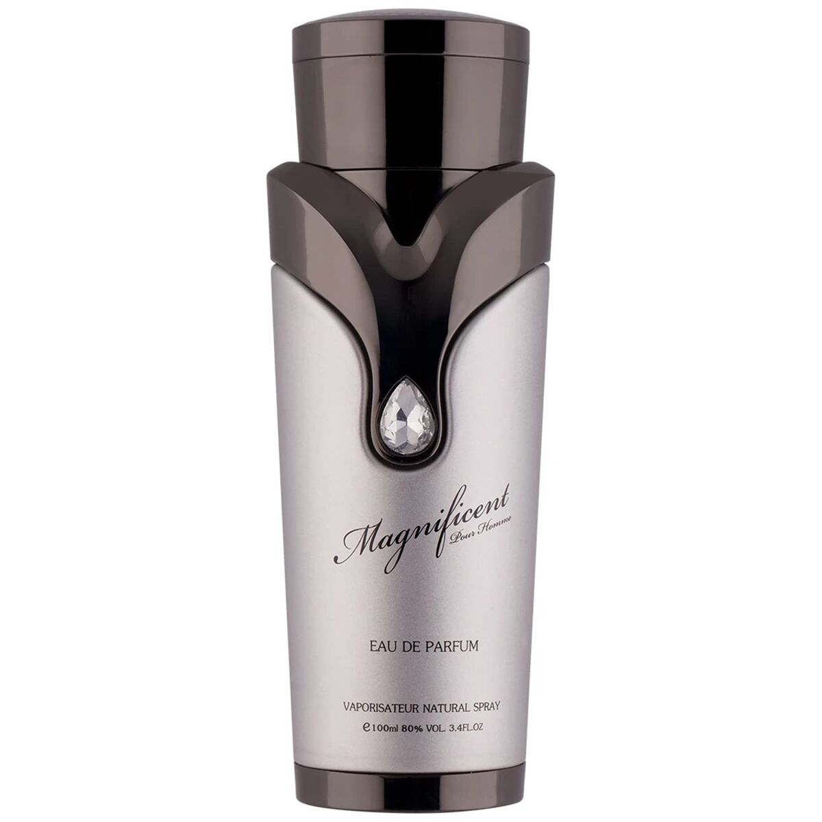Armaf Magnificent Pour Homme edp 100ml