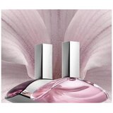 Calvin Klein Euphoria edt 50ml