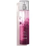 Caudalie The Des Vignes Eau Fraiche 100ml