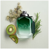 Coach Green edt 60ml