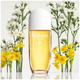 Elizabeth Arden Sunflowers Sunrise edt 100ml