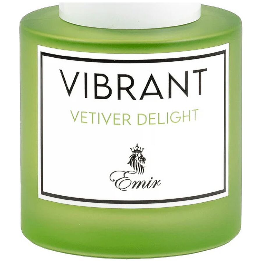 Emir Vibrant Vetiver Delight edp 100ml
