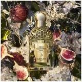 Guerlain Aqua Allegoria Nerolia Vetiver Forte edp 75ml