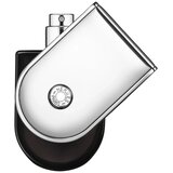 Hermès Voyage D'Hermes Perfume 100ml