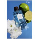 Les Senteurs Gourmandes Bois de Néroli edp 100ml