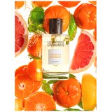 Les Senteurs Gourmandes Mandarine Envoûtante edp 100ml