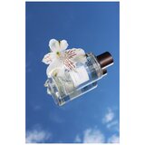 Les Senteurs Gourmandes Musc Blanc edp 100ml