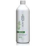 Matrix Biolage Advanced Fiberstrong Shampoo 1000ml