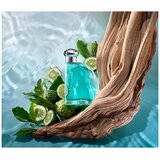 Nautica Classic edt 100ml