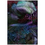 Amouroud Dark Orchid edp 100ml