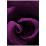 Amouroud Midnight Rose edp 100ml
