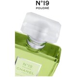 Chanel No.19 Poudré edp 100ml