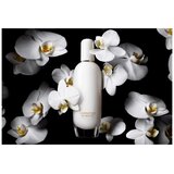 Clinique Aromatics In White edp 100ml