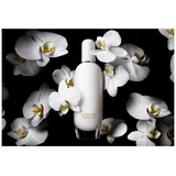 Clinique Aromatics In White edp 50ml