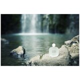 Giorgio Armani Acqua Di Gioia edt 50ml