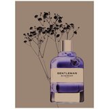 Givenchy Gentleman 2017 edt 50ml