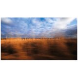 Kenzo Jungle Pour Homme edt 100ml