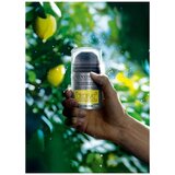 L'Occitane Eau De Cedrat edt 100ml