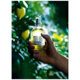 L'Occitane Eau De Cedrat edt 100ml