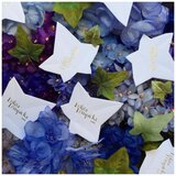 Lolita Lempicka Mon Premier Parfum edp 15ml