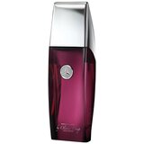 Mercedes Benz Vip Club Infinite Spicy edt 100ml