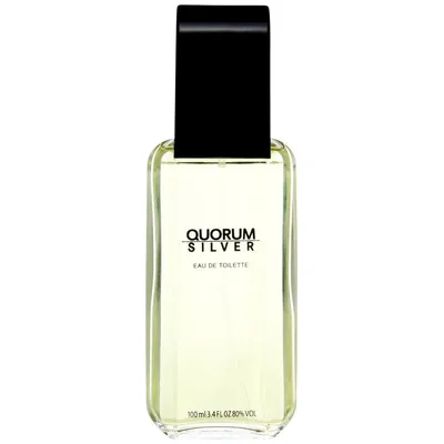 Antonio Puig Quorum Silver edt 100ml