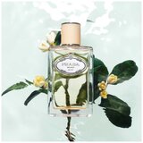 Prada Infusion De Fleur D'Oranger edp 200ml