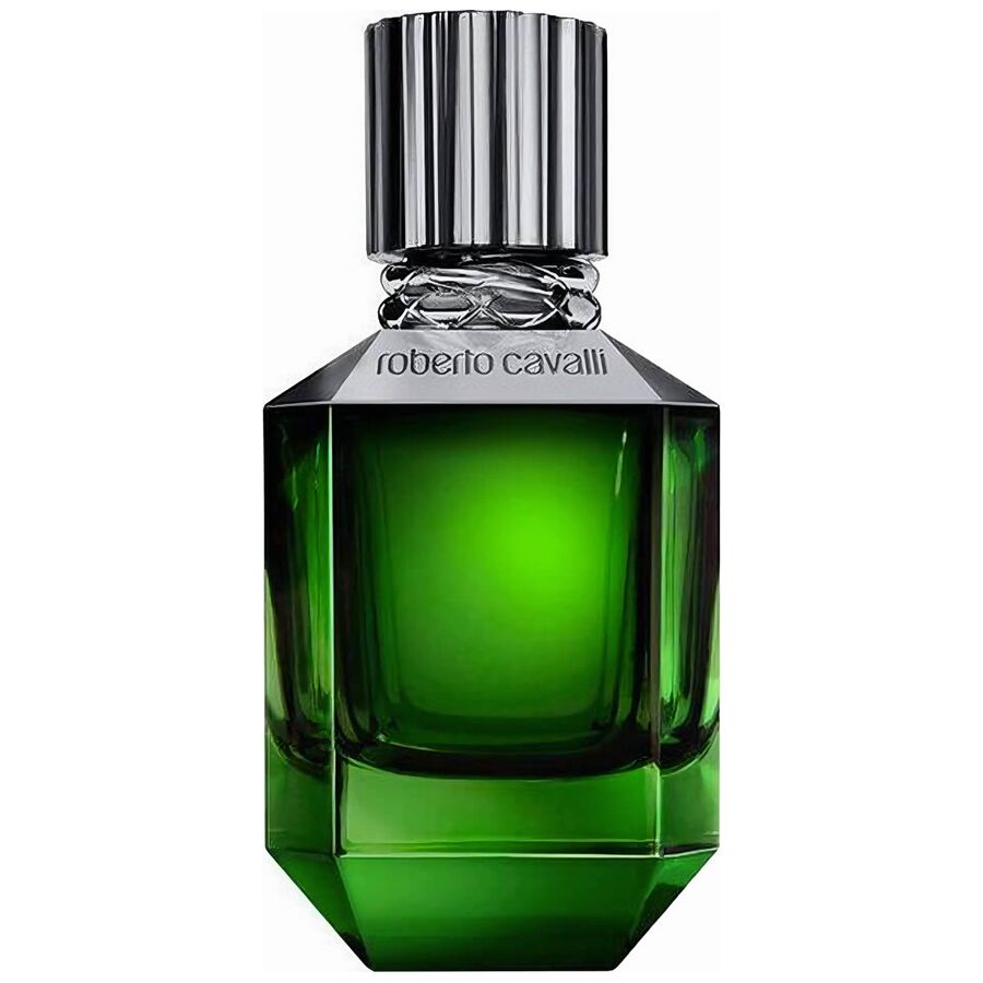 Roberto Cavalli Paradise Found Pour Homme edt 50ml