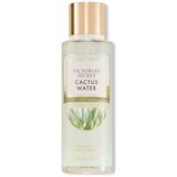 Victoria's Secret Cactus Water Body Mist 250ml