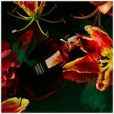 Xerjoff Coffee Collection Golden Green edp 50ml