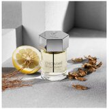 Yves Saint Laurent L'Homme edt 100ml