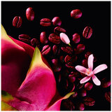 Yves Saint Laurent Black Opium Neon edp 30ml