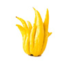 Buddhas hand