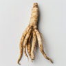 Ginseng