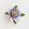 Passionsblomma